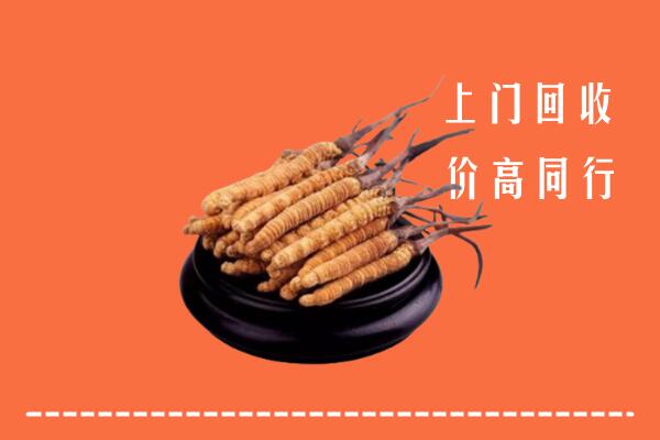 高价求购：昌江县回收散虫草