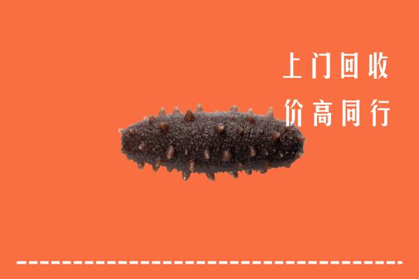 高价求购：昌江县回收海参