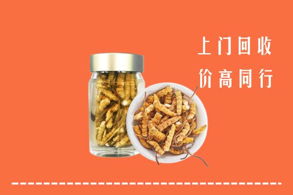 昌江县回收冬虫夏草